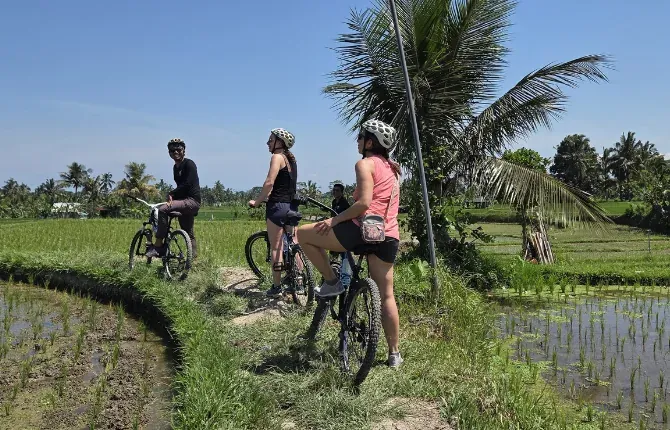 Biking tour through Bali rice fields